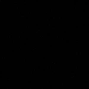 Meet your Posher, Kelsie